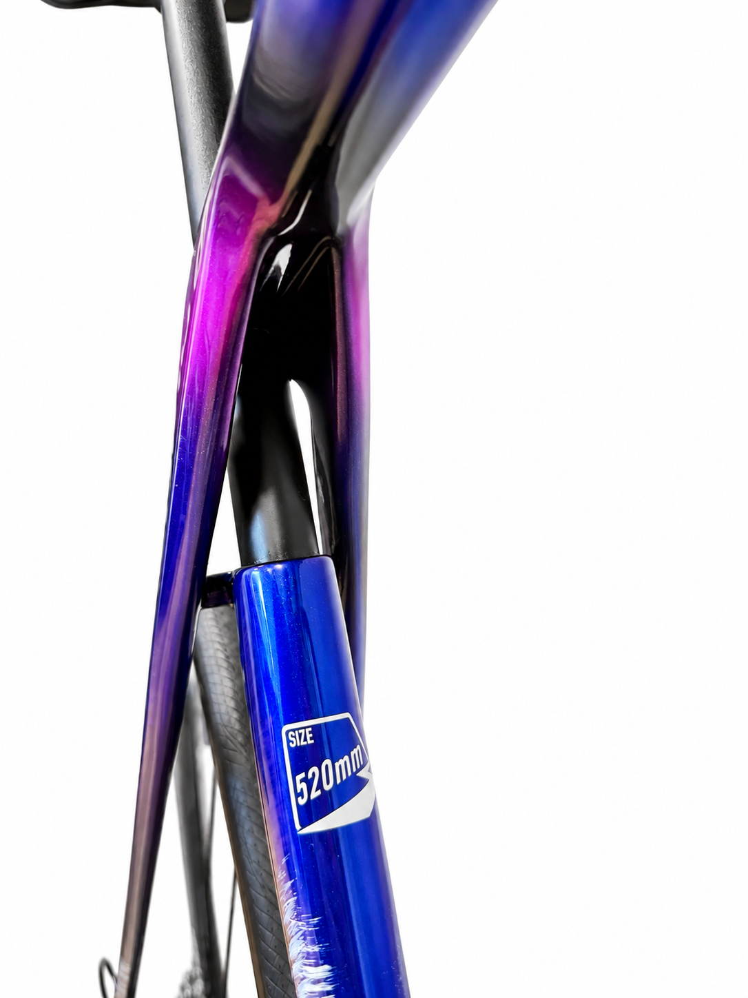 Bertin C80 noir violet — architecture ouverte du cadre